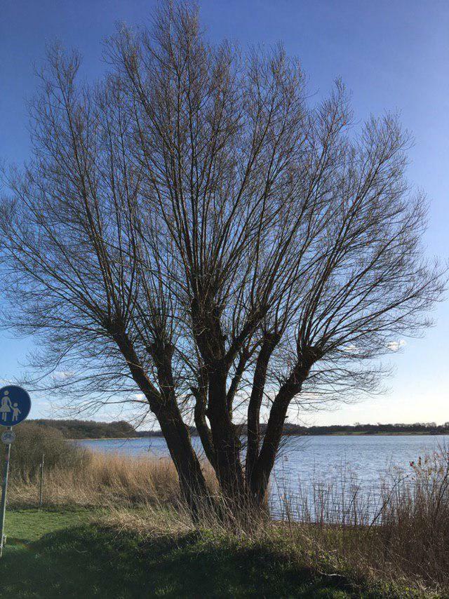 Ferienwohnung Am Noor Nahe Schleswig Und Dem Wikingerdorf Haithabu Fahrdorf  Ngoại thất bức ảnh