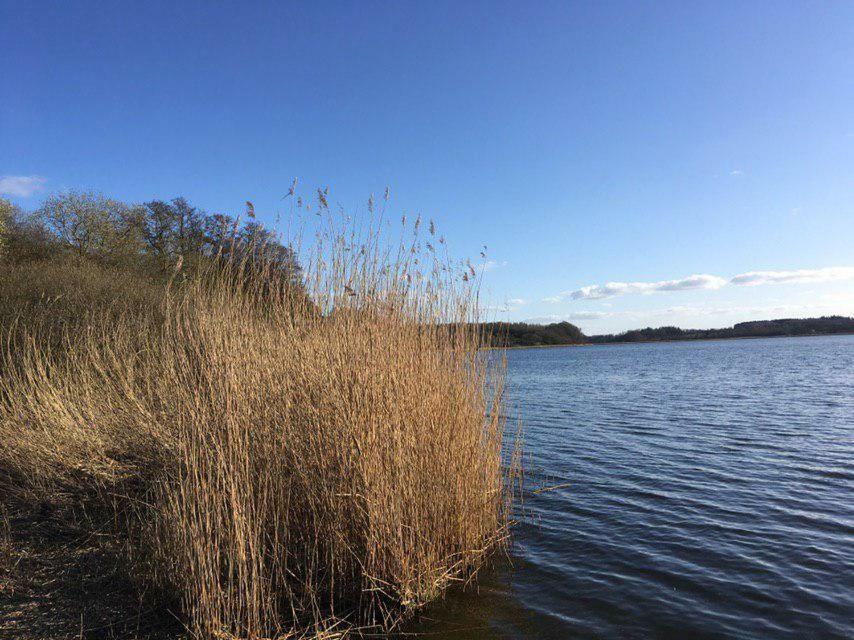 Ferienwohnung Am Noor Nahe Schleswig Und Dem Wikingerdorf Haithabu Fahrdorf  Ngoại thất bức ảnh